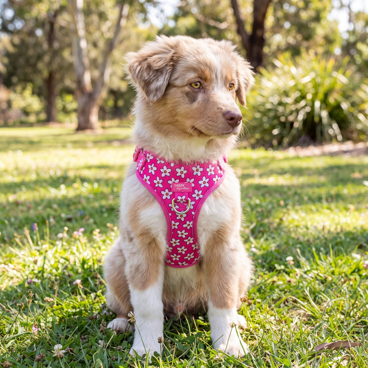 DOG HARNESS | Darling Daisy: Pink Daisy | Adjustable & Stainless Steel Dog Harness