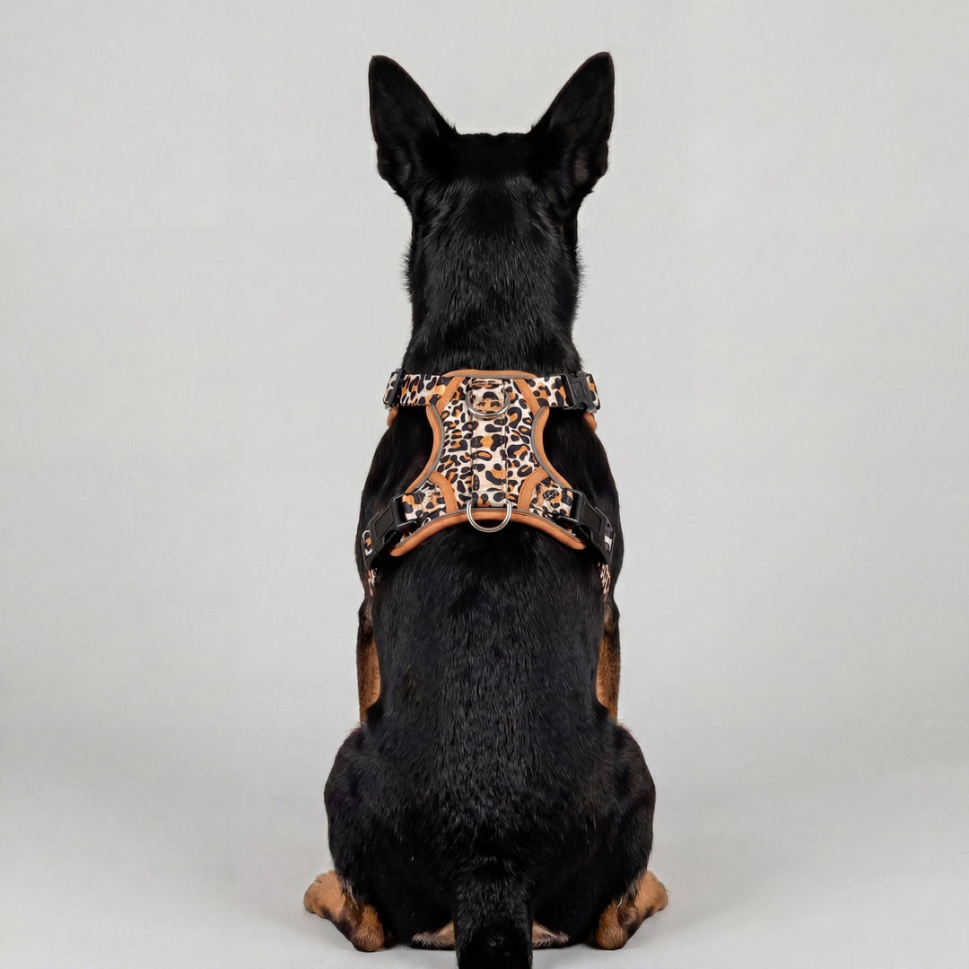 No Pull Dog Harness: Latte Leopard