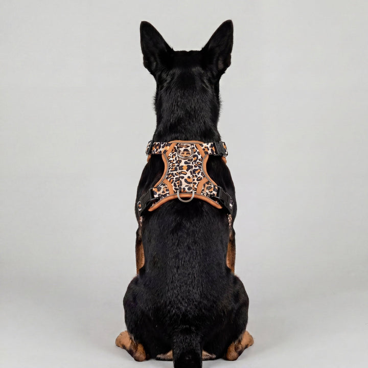 No Pull Dog Harness: Latte Leopard