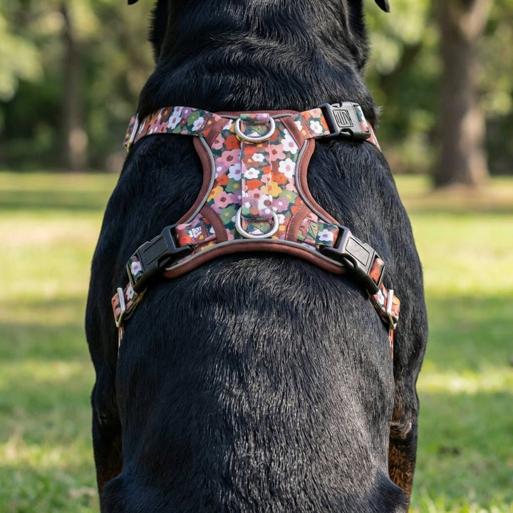 No Pull Dog Harness with Handle | Step in & Reflective | STAINLESS STEEL | Autumn Acres