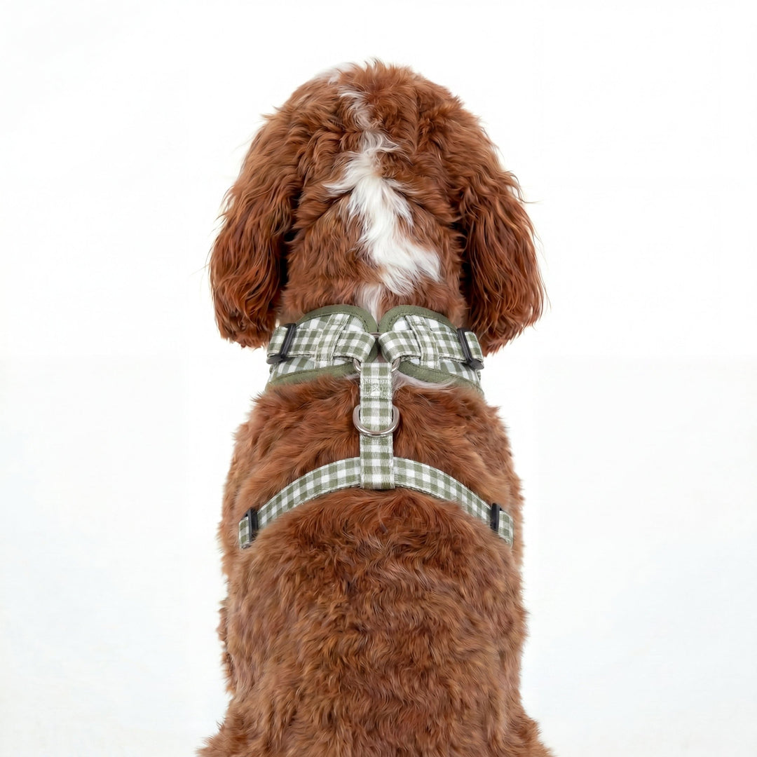 DOG HARNESS | Sage Gingham | Neck Adjustable Dog Harness, Stainless Steel
