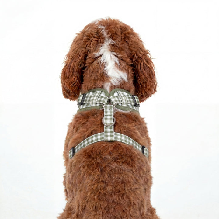 DOG HARNESS | Sage Gingham | Neck Adjustable Dog Harness, Stainless Steel