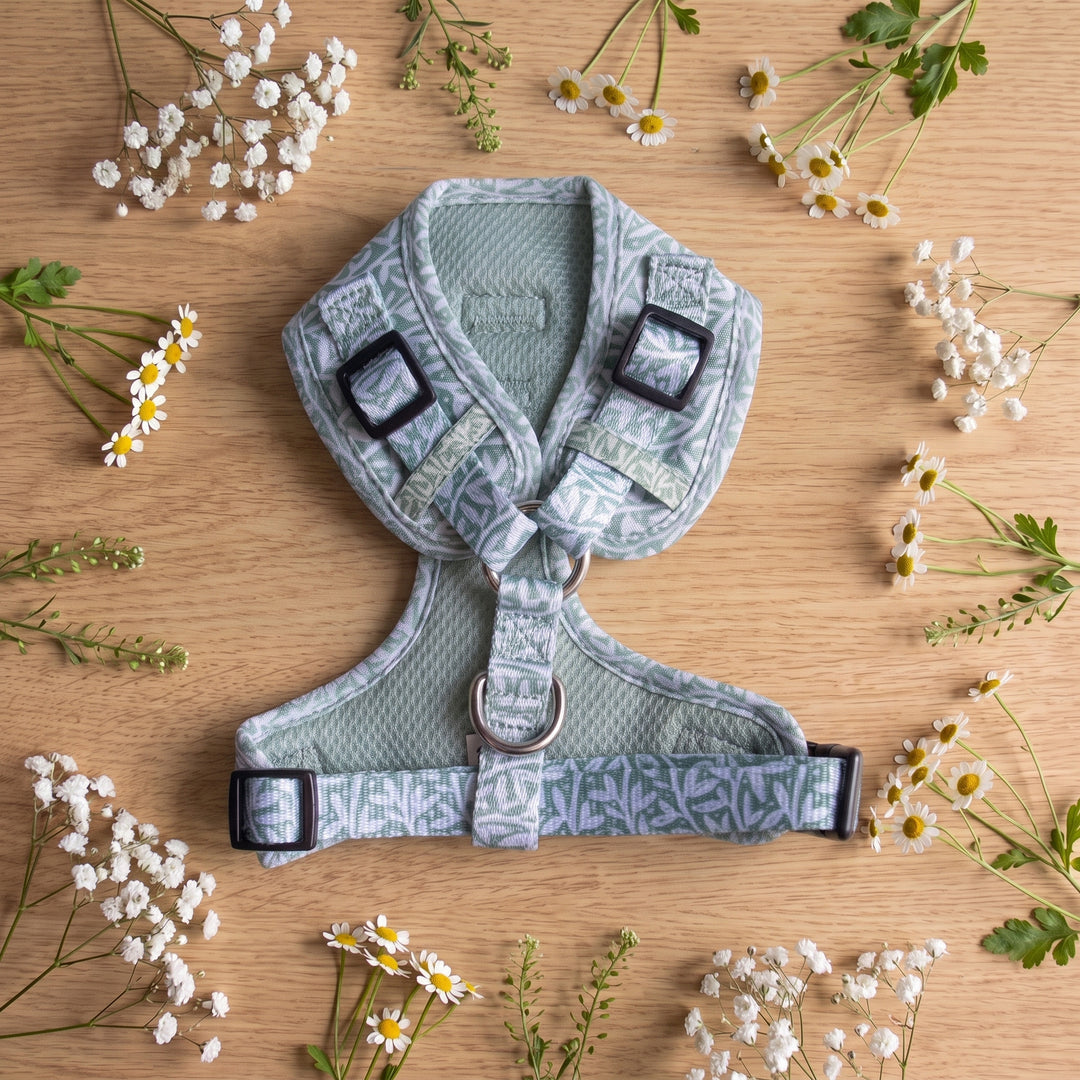 Wild Grove: Sage Vines | Neck Adjustable Dog Harness