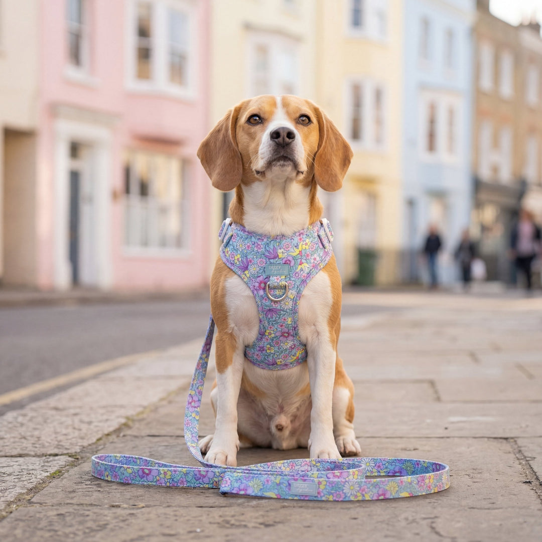 DOG HARNESS | Floral Fable | Neck Adjustable Dog Harness