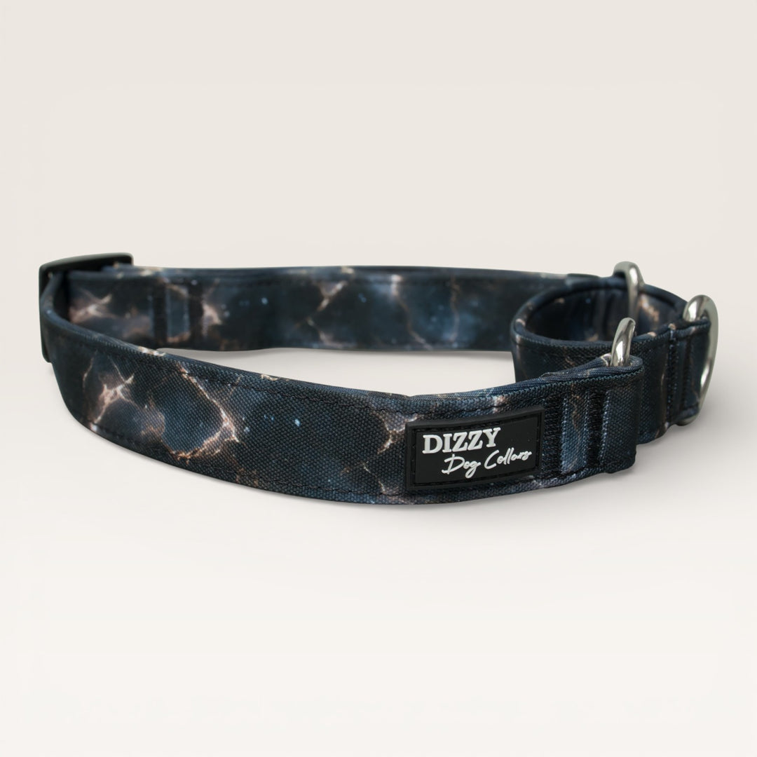 Martingale Dog Collar | Nebula Nightfall