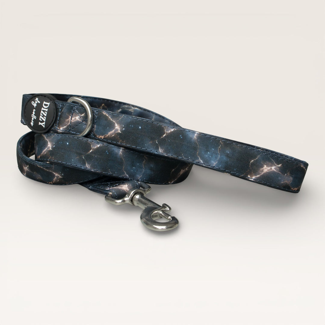 Nebula Nightfall  Dog Leash | Fully Padded Leash - Stainless Steel
