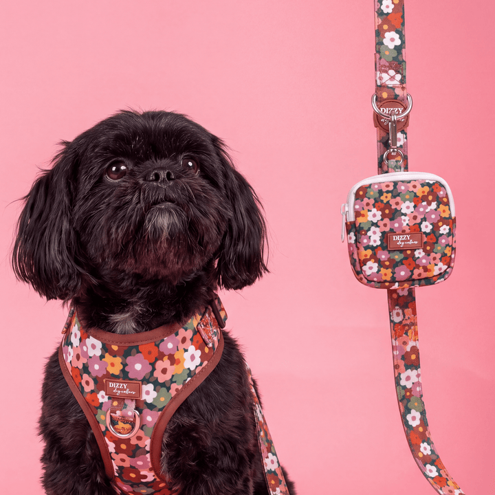 A small black shih tzu wearing a floral-patterned harness sits on a pink studio background next to a matching floral dog bag and leash. The harness and bag feature a multicolor flower print with brown trim, and the leash has a silver metal ring and buckle.