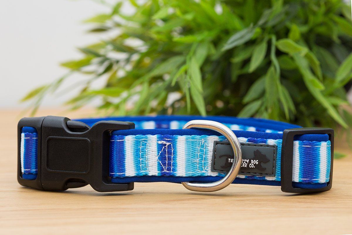 Blue Artist Palette Dog Collar (small only ) Dizzy Dog Collars