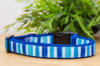 Blue Artist Palette Dog Collar (Neoprene)-Dog Collar-Dizzy Dog Collars-Extra Small 1.5cm Wide-Dizzy Dog Collars