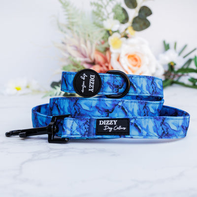 Blue Marble Dog Leash | Canvas & Neoprene | High Quality Fully Padded Leash-Leash-Dizzy Dog Collars