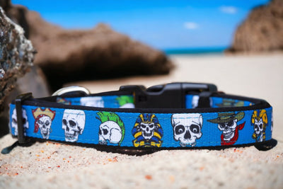 Blue Skulls Dog Collar | Neoprene Dog Collar-Dog Collar-Dizzy Dog Collars