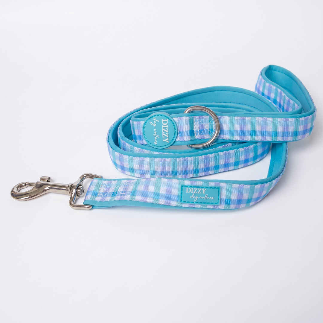 Breezy Blue Gingham Dog Leash | Fully Padded Leash