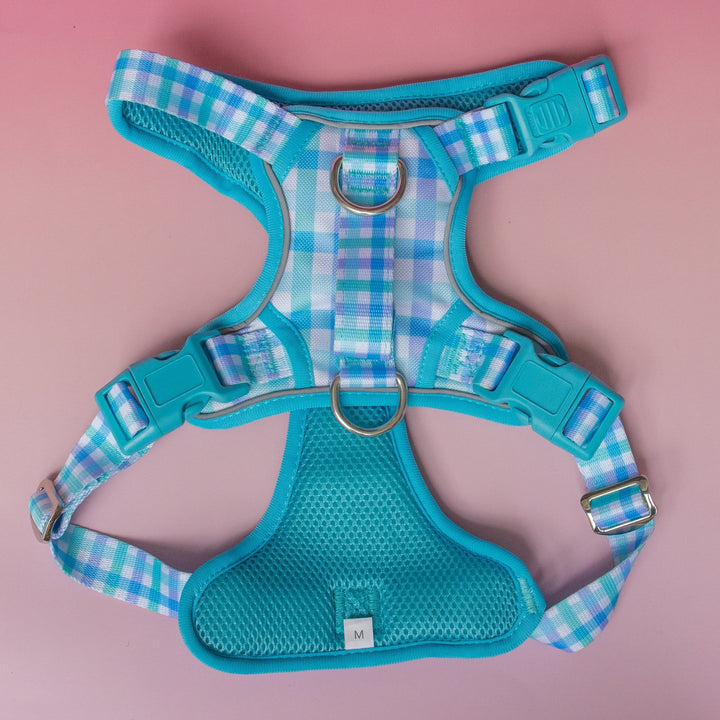 No Pull Dog Harness with Handle | Breezy Blue Gingham