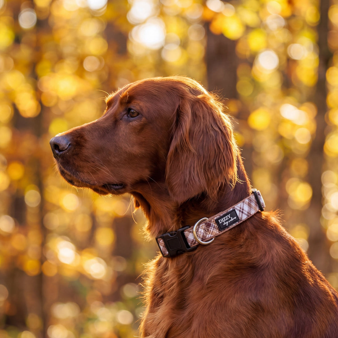 Maplewood: Caramel & Brown Plaid Dog Collar | Neoprene Dog Collar