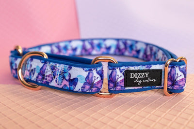 Butterfly Ballet Bundle | Save up to 20%-Dog Collar-Dizzy Dog Collars