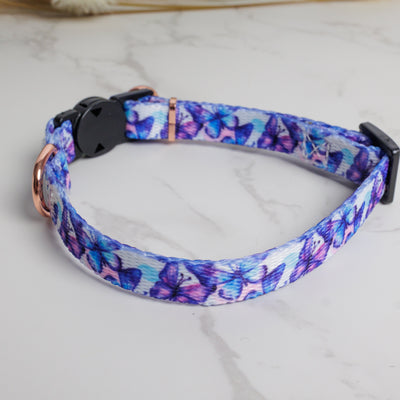 Butterfly Ballet Cat Collar | Toy Breed Dog Collar | Puppy Collar-puppy/cat-Dizzy Dog Collars