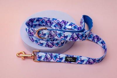 Butterfly Ballet Dog Leash | Dog Lead-Dizzy Dog Collars