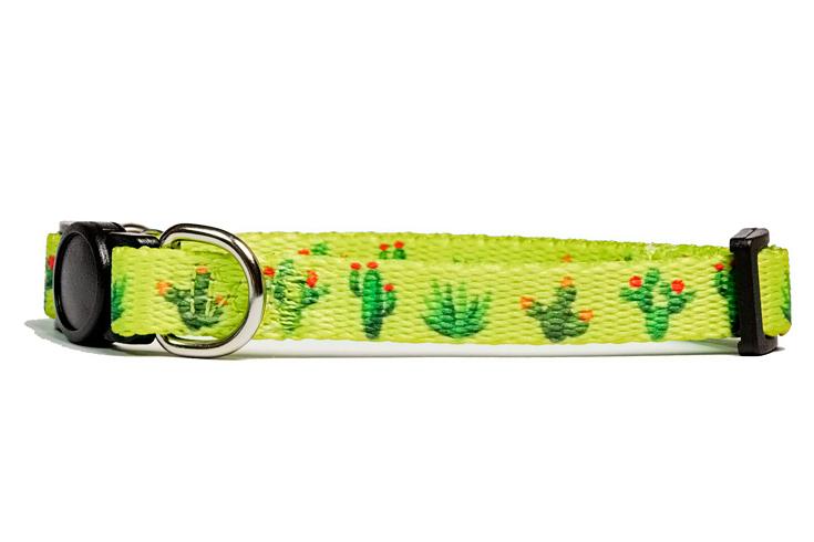Cactus Cat Collar /Toy Breed Dog Collar-Dizzy Dog Collars-Dizzy Dog Collars