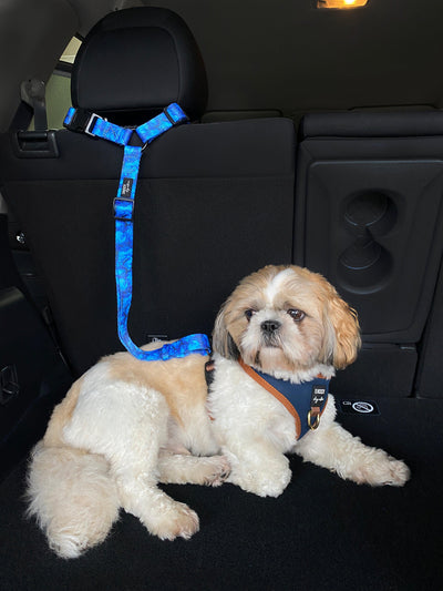 Car Headrest Restraint | Blue Marble | Dog Car Restraint Tether-Dizzy Dog Collars
