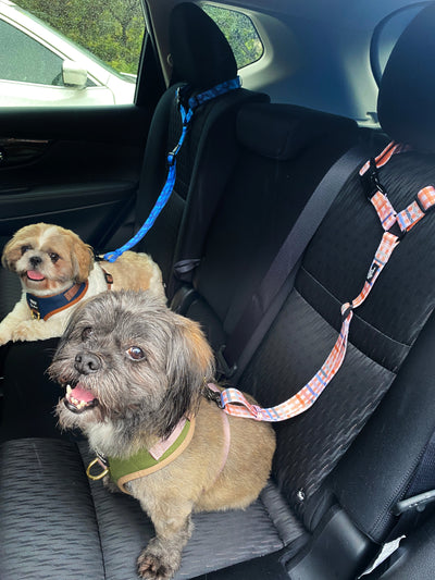 Car Headrest Restraint | Blue Marble | Dog Car Restraint Tether-Dizzy Dog Collars