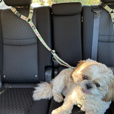 Car Headrest Restraint | Manuka | Dog Car Restraint Tether-Car Restraint-Dizzy Dog Collars