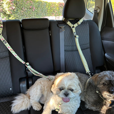 Car Headrest Restraint | Manuka | Dog Car Restraint Tether-Car Restraint-Dizzy Dog Collars