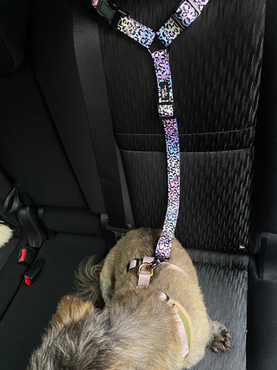Car Headrest Restraint | Ombre Leopard | Dog Car Restraint Tether-Dizzy Dog Collars