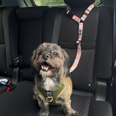Car Headrest Restraint | Vintage Gingham | Dog Car Restraint Tether-Dizzy Dog Collars