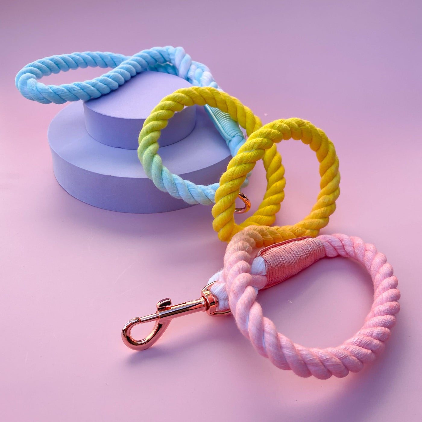 Carnival Rope Lead | Ombre Aqua, Yellow & Pink Dog Lead-Dizzy Dog Collars