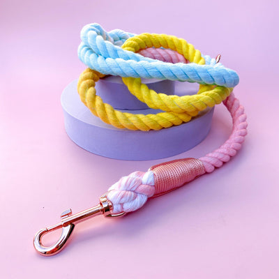 Carnival Rope Lead | Ombre Aqua, Yellow & Pink Dog Lead-Dizzy Dog Collars