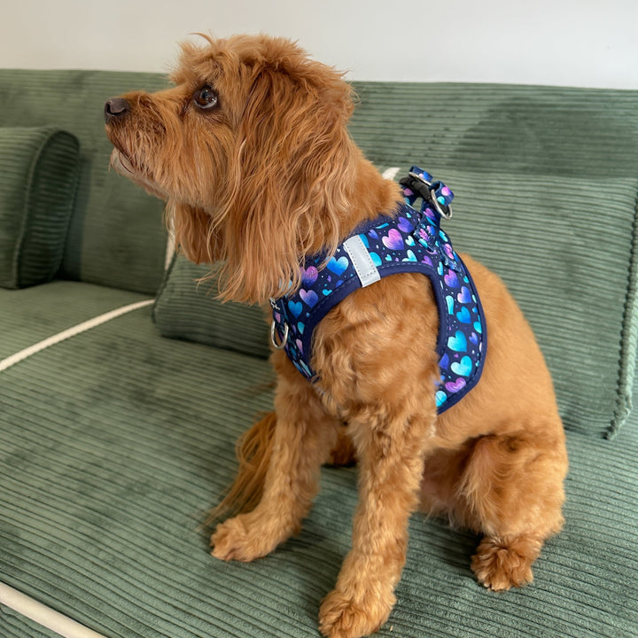 Hearts & Harmony Step In Dog Harness: No Pull Harness | For XS to Medium Dogs & Cats |STAINLESS STEEL| Hearts & Harmony