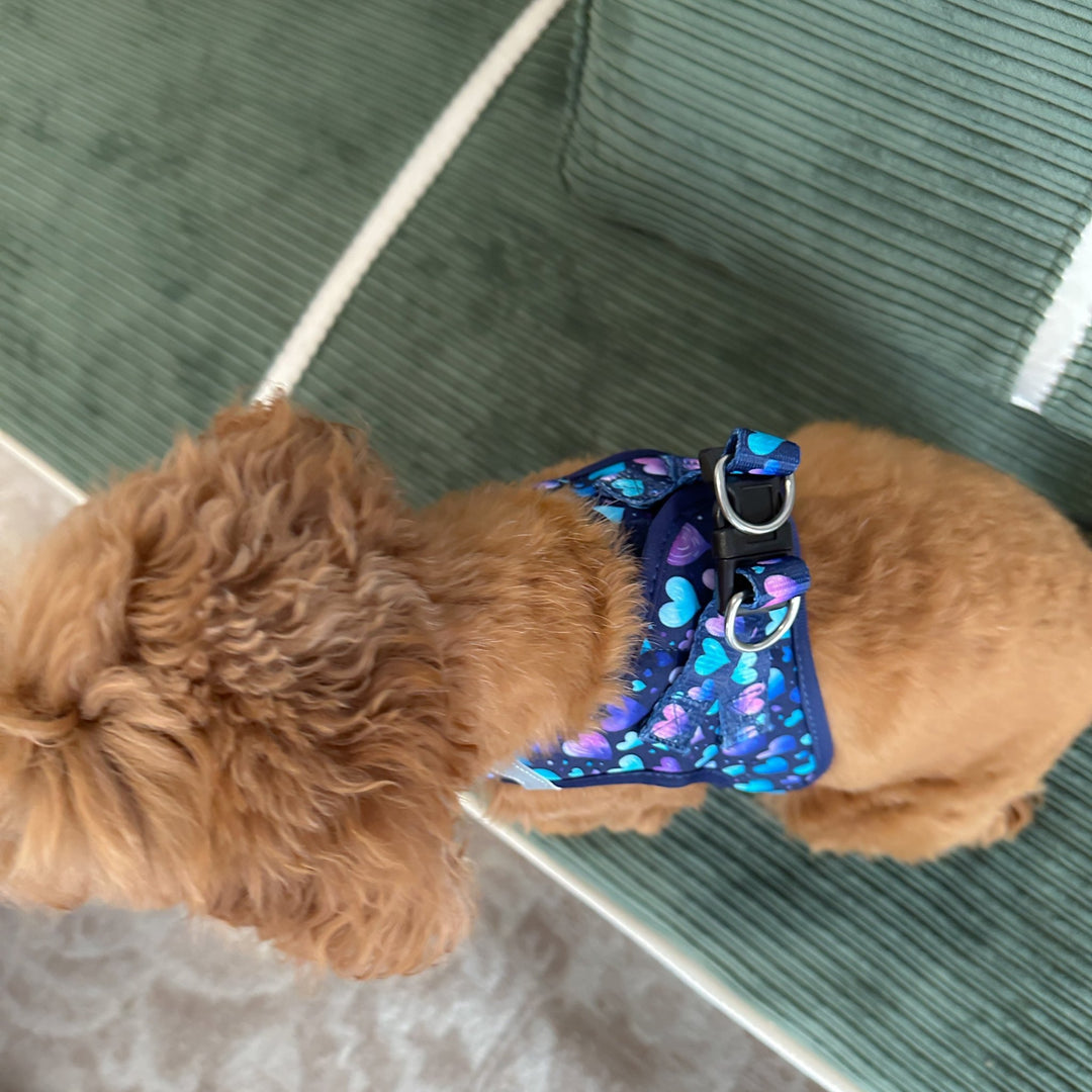 Hearts & Harmony Step In Dog Harness: No Pull Harness | For XS to Medium Dogs & Cats |STAINLESS STEEL| Hearts & Harmony