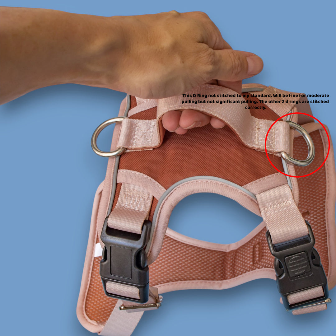 ****SECONDS*** No Pull Dog Harness with Handle |  The Chai