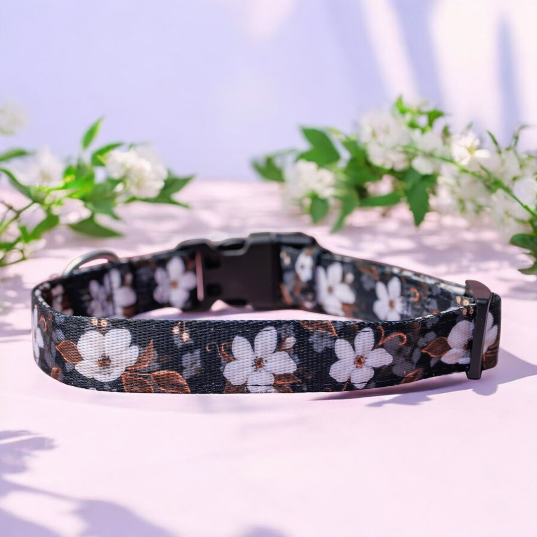 Floral-patterned dog collar with 'Dizzy Dog Collars' brand on a light background with flowers. Black, White and Gold