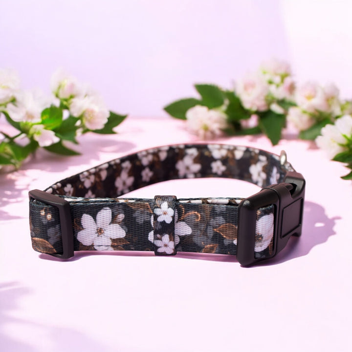 Floral-patterned dog collar with 'Dizzy Dog Collars' brand on a light background with flowers.