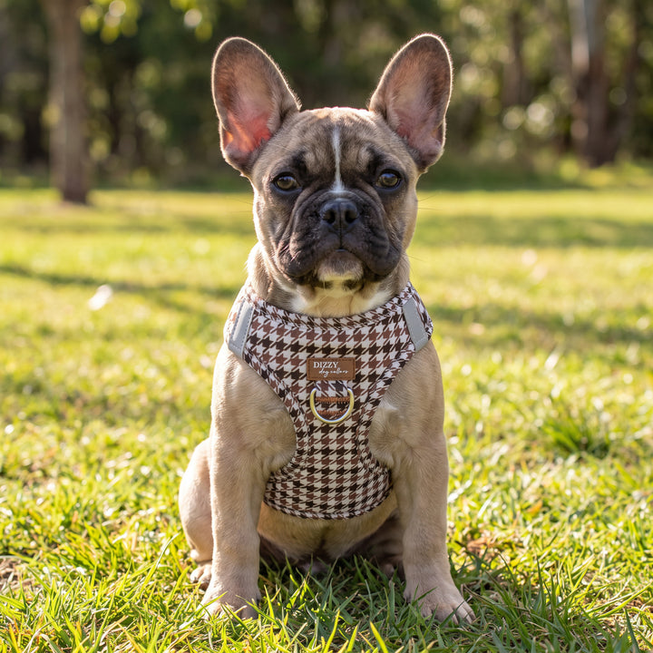 Chestnut Tweed: Step In Dog Harness