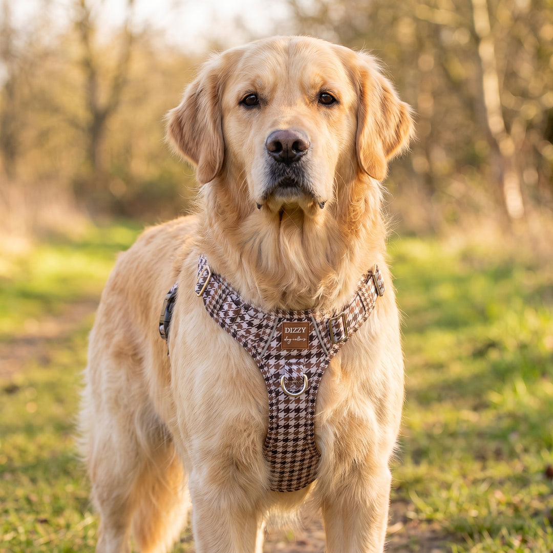 No Pull Dog Harness: Chestnut Tweed