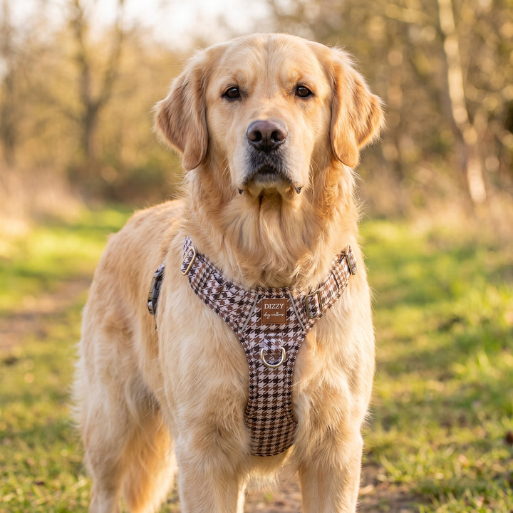 No Pull Dog Harness: Chestnut Tweed