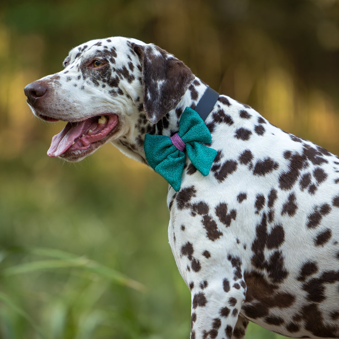 Dog Christmas Bow Tie | Sugar Plum Sparkle