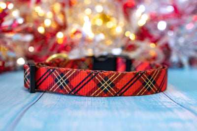 Christmas Plaid Dog Collar-Dog Collar-Dizzy Dog Collars