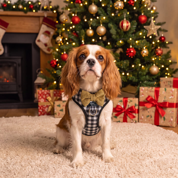Classic Gingham Adjustable Dog Harness with Removable Bow Tie