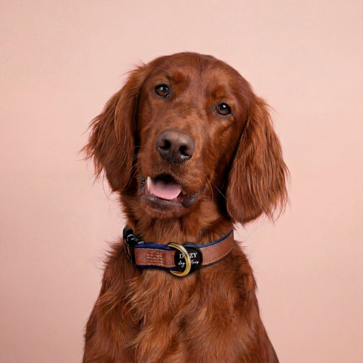 The Coco Dog Collar | Neoprene Dog Collar