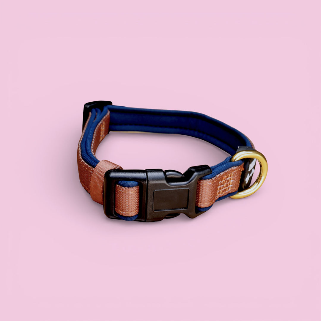 The Coco Dog Collar | Neoprene Dog Collar