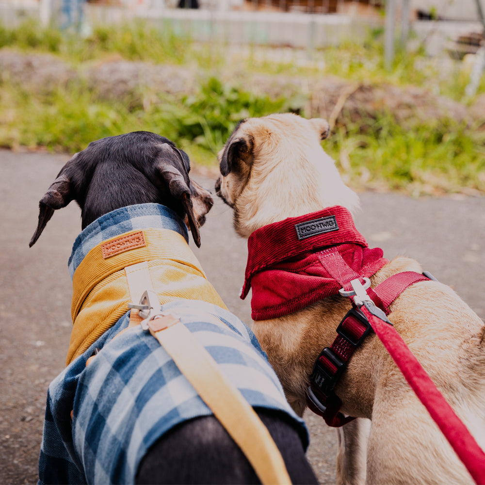 Corduroy & Vegan Leather Dog Leash - Mustard Yellow-Leashes-Dizzy Dog Collars