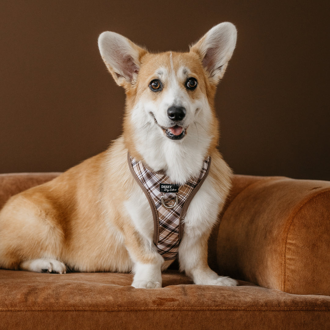 DOG HARNESS | Maplewood: Caramel & Brown Plaid | Neck Adjustable Dog Harness