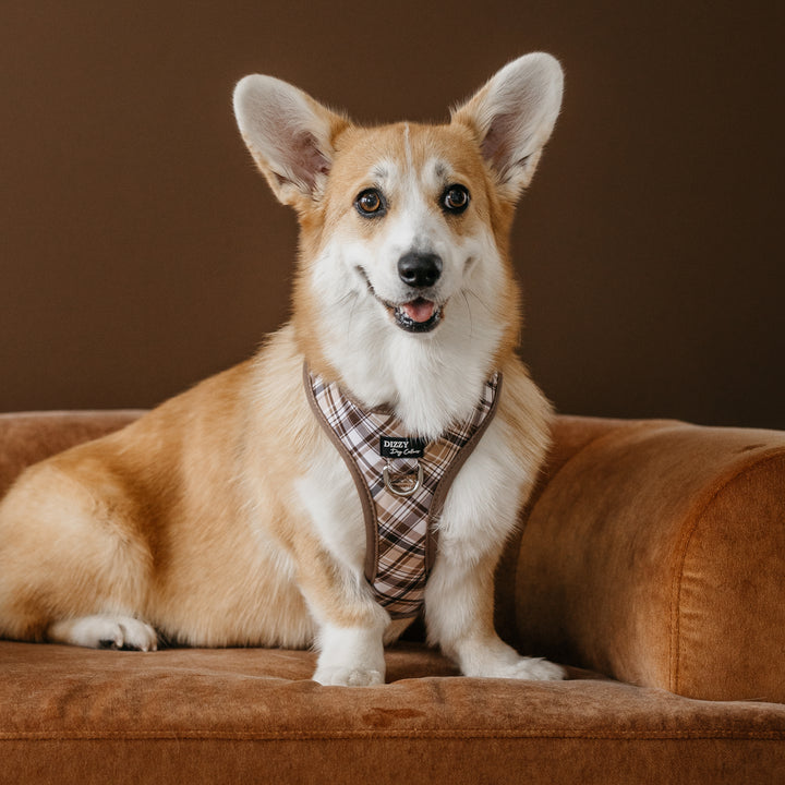 DOG HARNESS | Maplewood: Caramel & Brown Plaid | Neck Adjustable Dog Harness