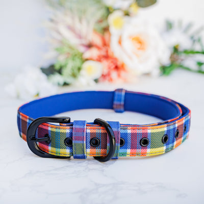 Country Plaid Belt Buckle Dog Collar | Canvas & Neoprene-Dog Collar-Dizzy Dog Collars