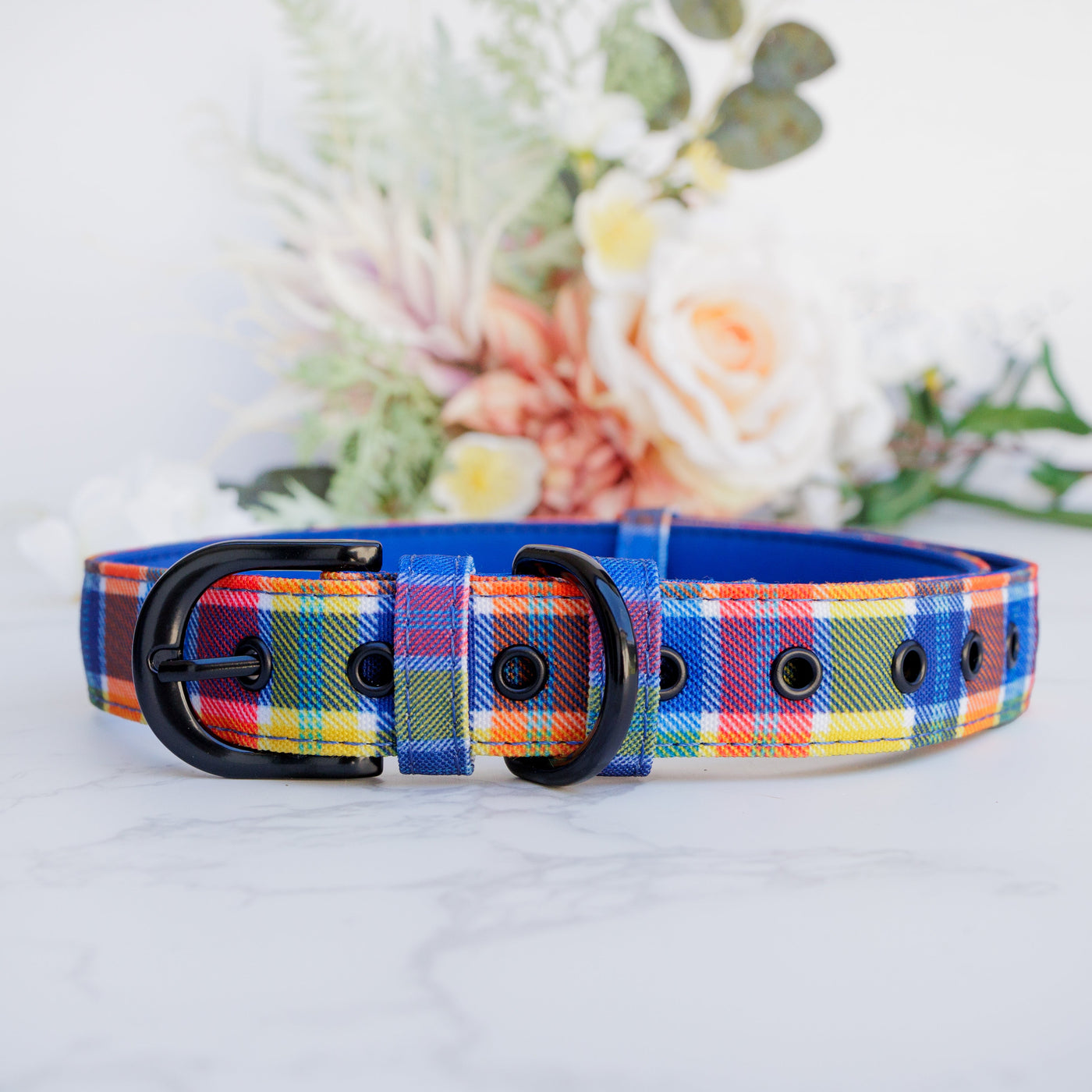 Country Plaid Belt Buckle Dog Collar | Canvas & Neoprene-Dog Collar-Dizzy Dog Collars