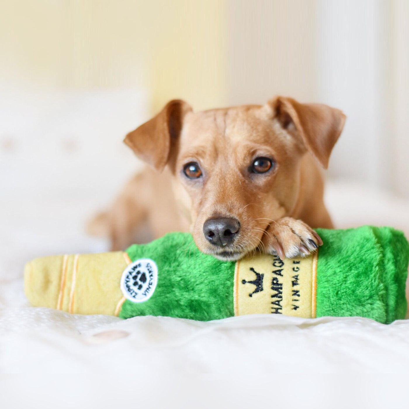Happy Hour Crusherz – Champagne - Zippy Paws Dog Toy-Dizzy Dog Collars-Dizzy Dog Collars