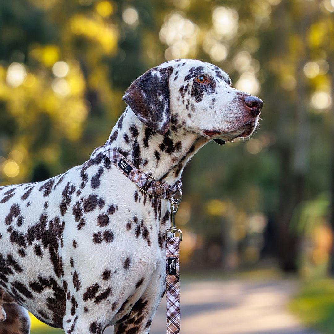 Martingale Dog Collar - Maplewood: Caramel & Brown Plaid